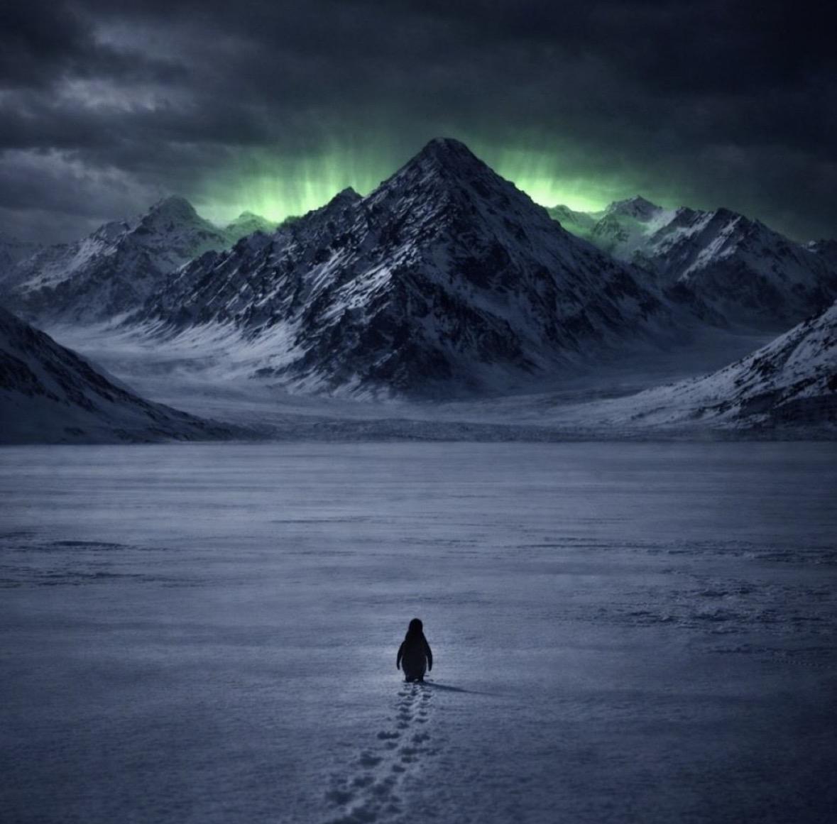 A lone penguin facing a distant mountain across the snow.